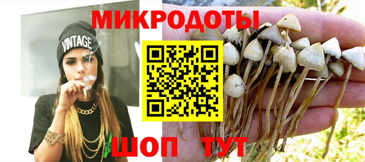 Галлюциногенные грибы мицелий Майский